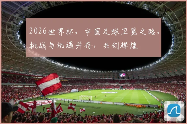 2026世界杯，中国足球卫冕之路，挑战与机遇并存，共创辉煌