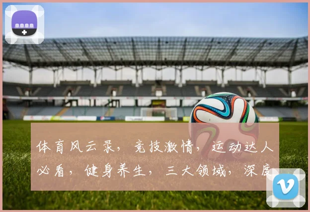 体育风云录，竞技激情，运动达人必看，健身养生，三大领域，深度解析