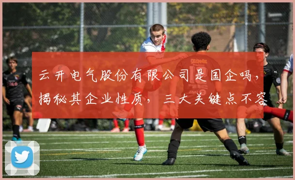 云开电气股份有限公司是国企吗，揭秘其企业性质，三大关键点不容忽视，深度解析